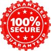 100% Secure